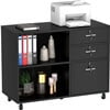 DEXTRUS 3 Drawer Wood Lateral Filing Cabinet with Locks, Printer Stand Storage File Cabinet with Shelves - Product image 2